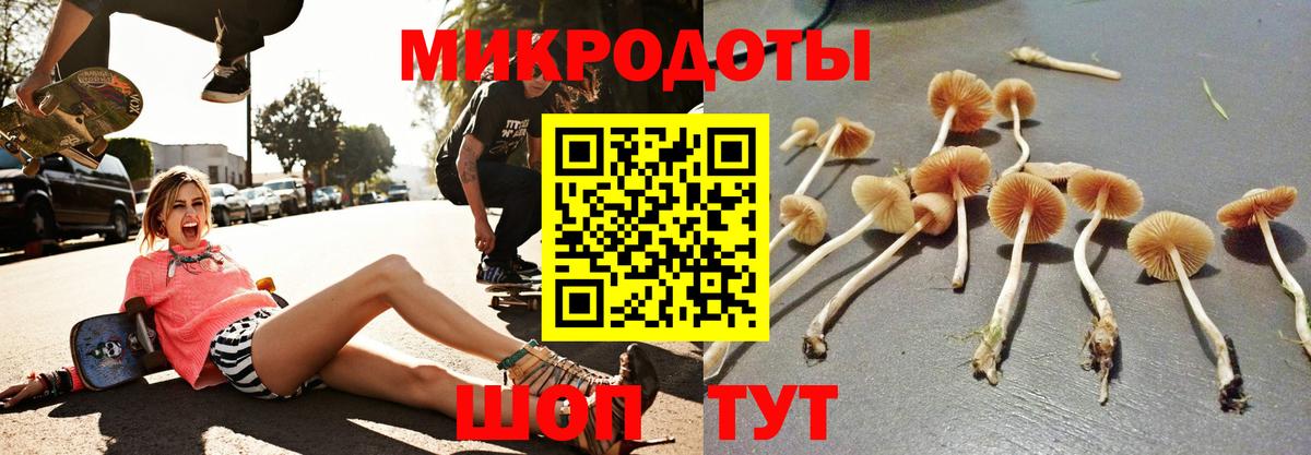 Псилоцибиновые грибы ЛСД Гусев