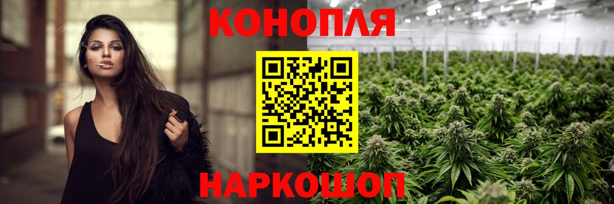Конопля конопля Гусев