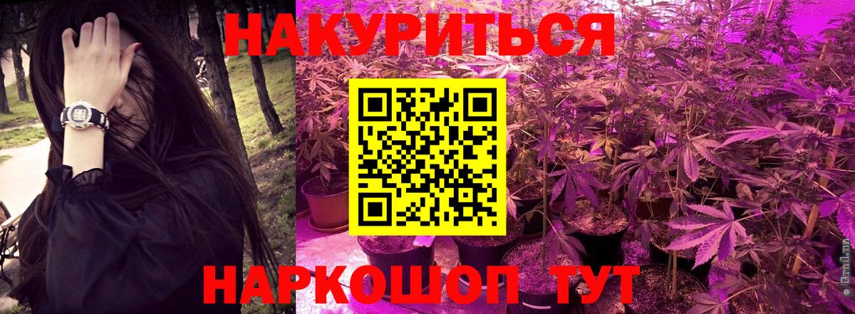Канабис индика  Шишки марихуана тримм  Шишки марихуана конопля  Вход с VPN  Гусев 